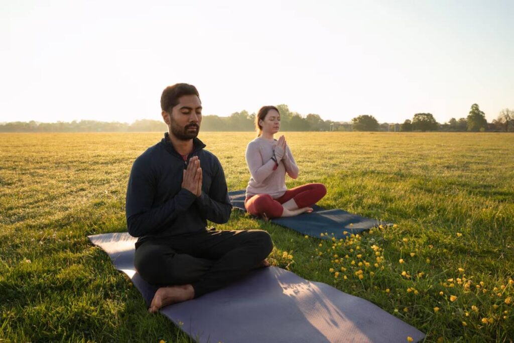Two individuals practice yoga in a sunlit field, seated on mats, surrounded by blossoming flowers and a serene landscape.